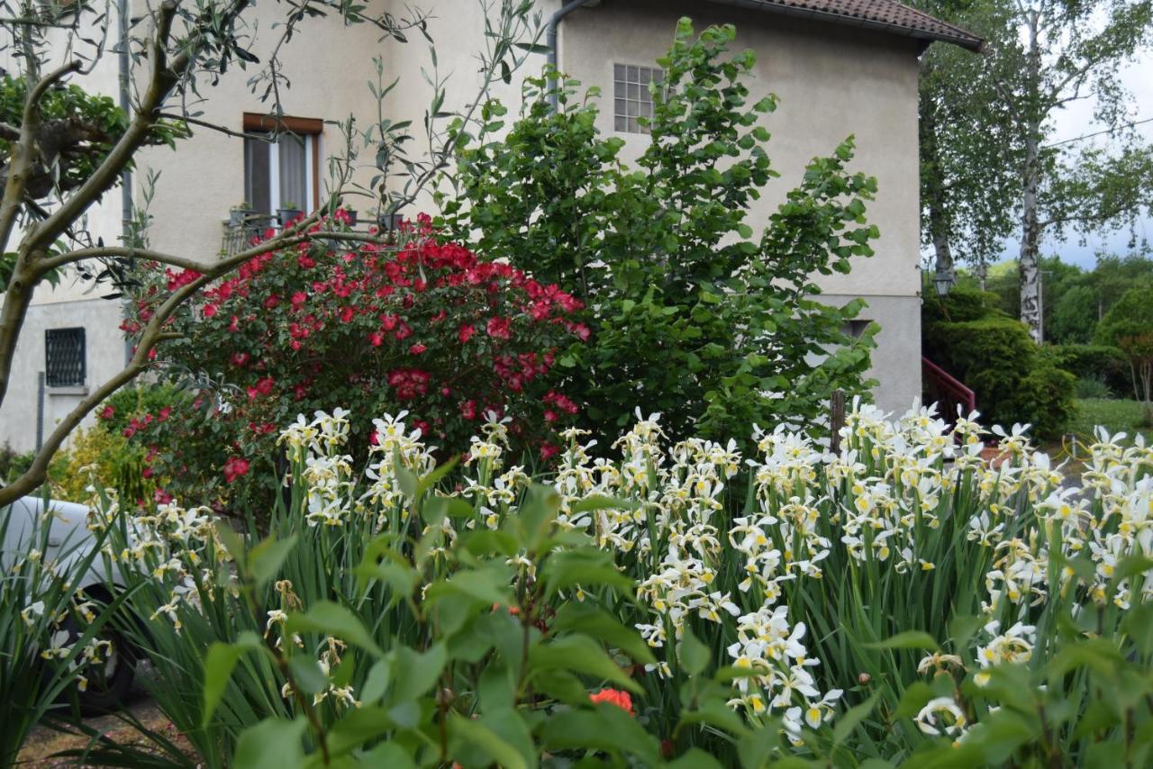 Le Nid De L'Ecureuil Bed & Breakfast Brens  Екстериор снимка